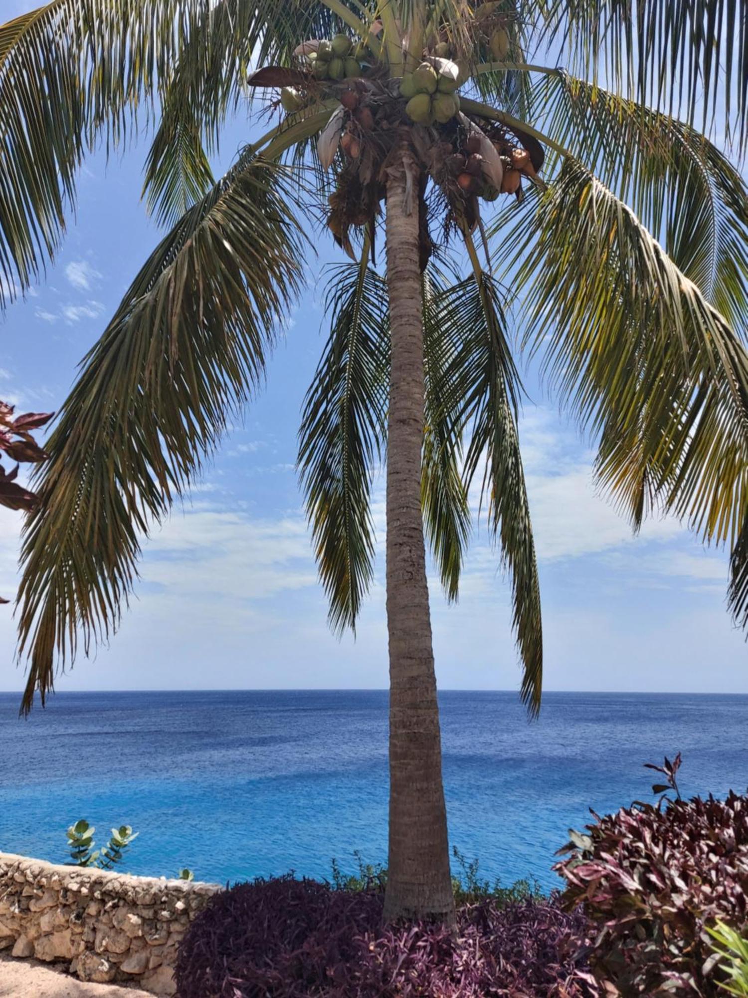 Ferienwohnung Bon Bini Lagun Curacao Exterior foto