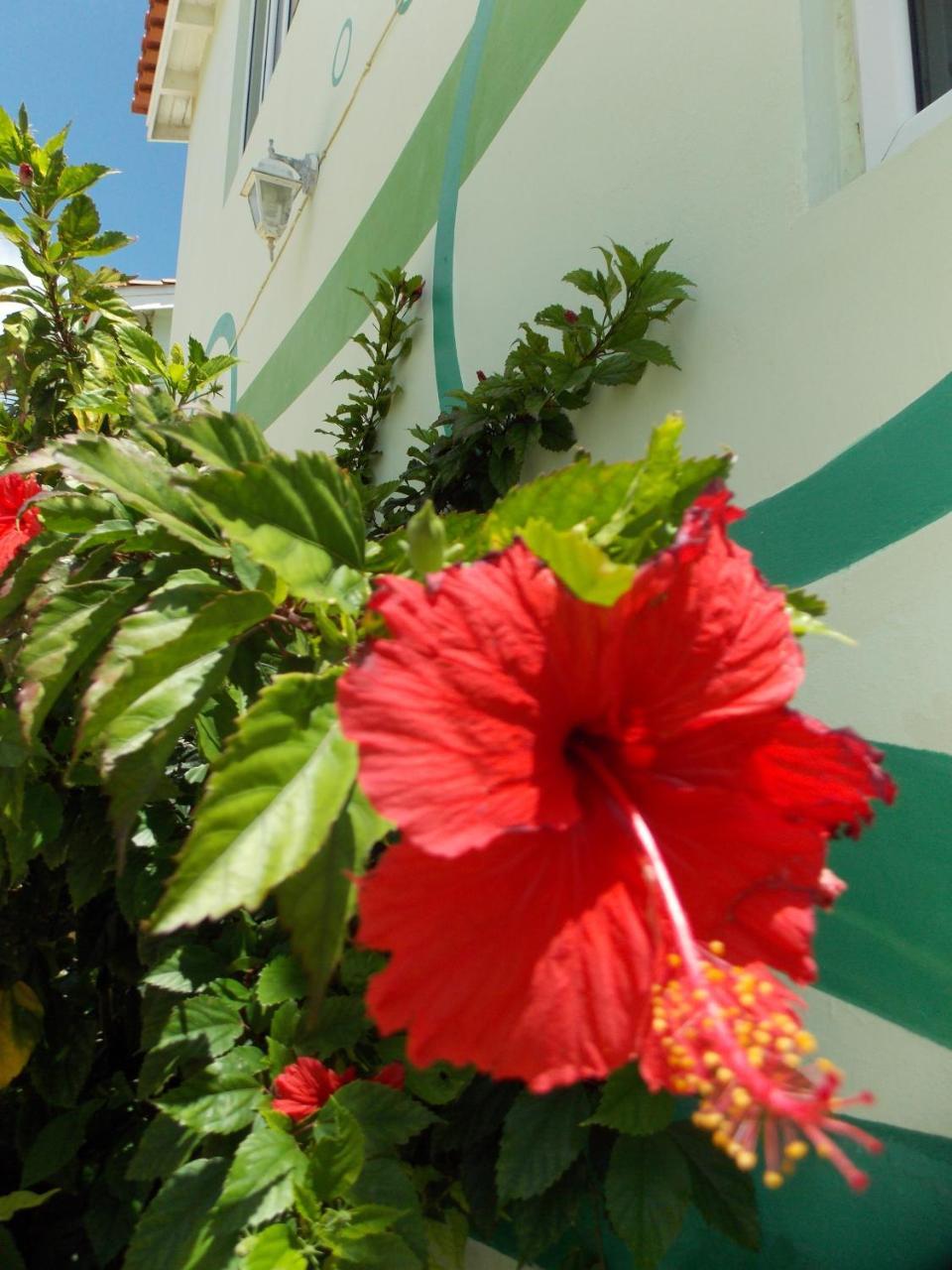 Ferienwohnung Bon Bini Lagun Curacao Exterior foto